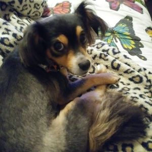 Meet your Posher, Vikki